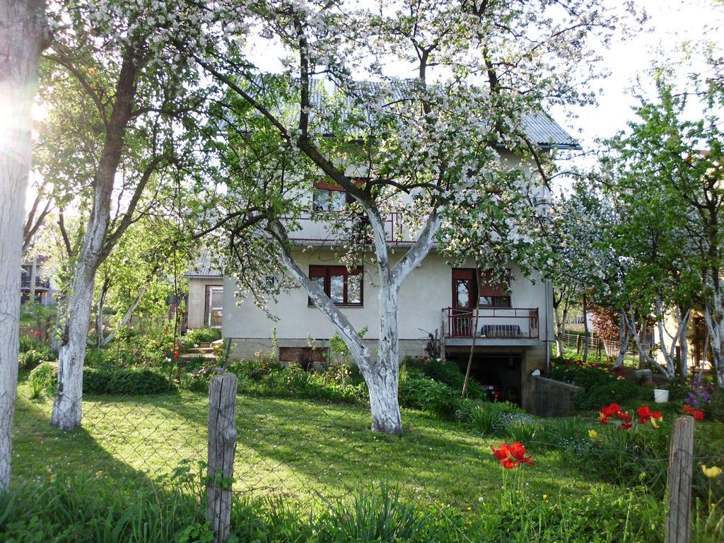 Guest House Krga Korenica Εξωτερικό φωτογραφία